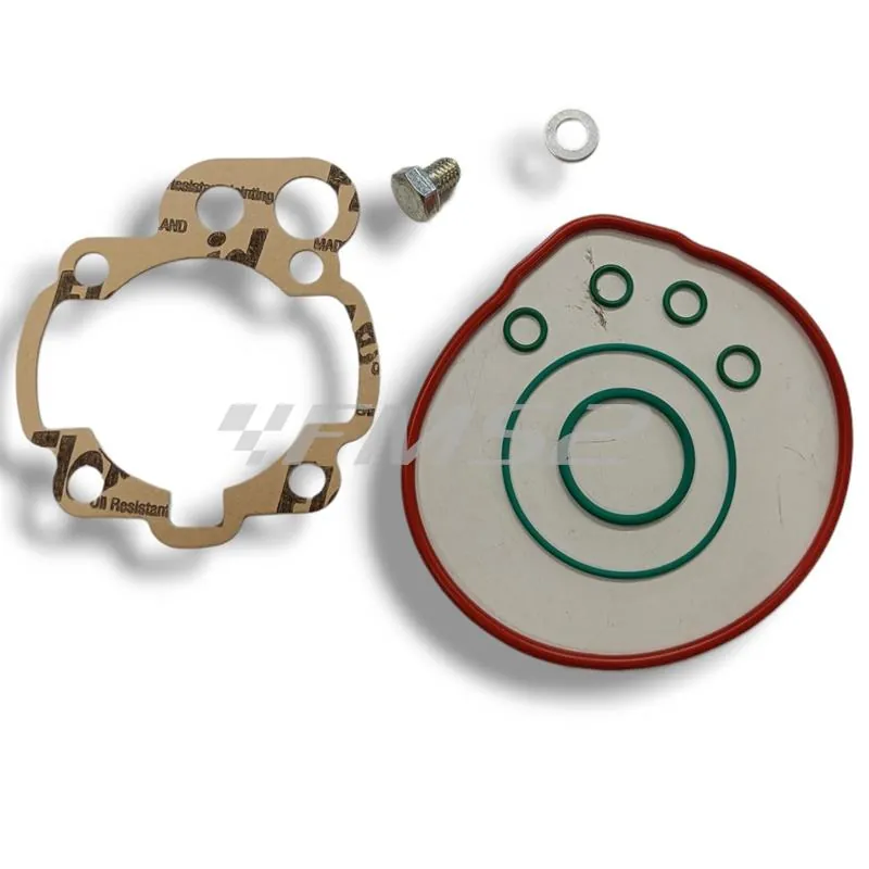 Motore gruppo termico top performance Trophy 49 mm a liquido cilindro in ghisa minacromato con 5 travasi completo di testa a squish, ricambio 9919250