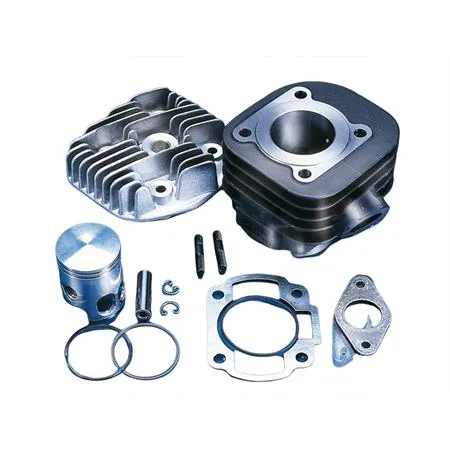 Motore gruppo termico Polini base x Minarelli orizzontale diametro 40,00 mm con raffreddamento ad aria, ricambio 1660093