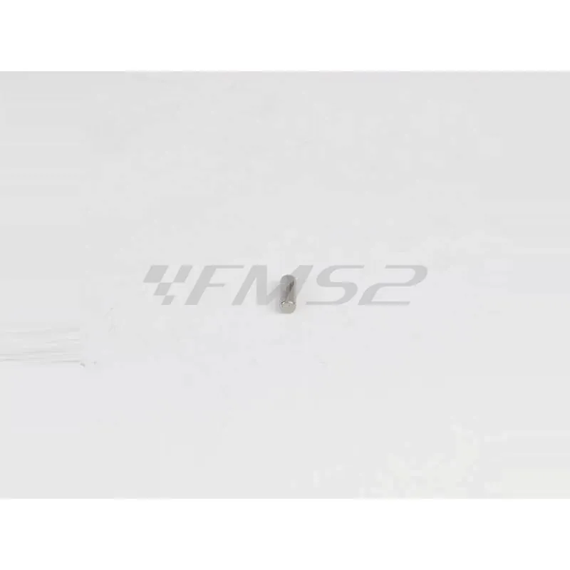 rullo corpo pompa 4x1 (Malaguti), ricambio 75603800