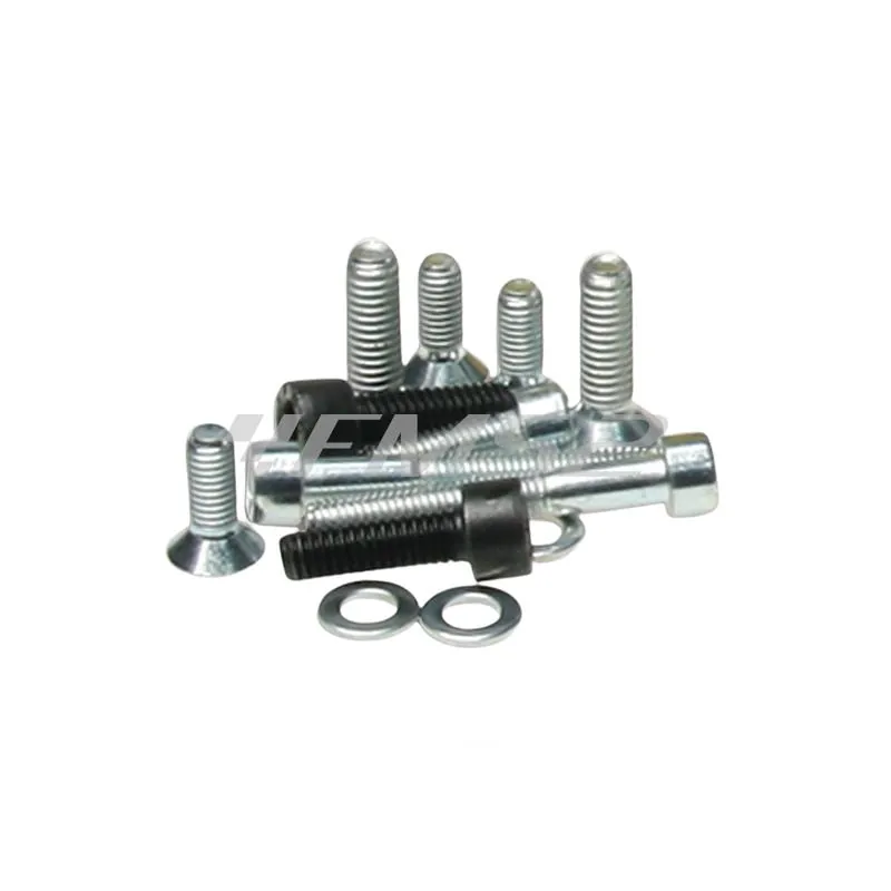 Bulloneria per montaggio accensione a rotore interno Malossi MHR Team per scooter con motore Piaggio con raffreddamento a liquido, ricambio 1911555