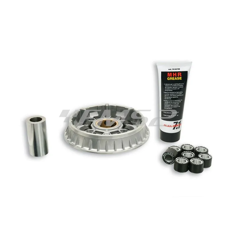 Variatore Multivar 2000, ricambio 5116230