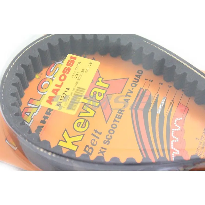 Cinghia di trasmissione belt cinghia Malossi per maxi scooter (22,5x11x1008), ricambio 6112714