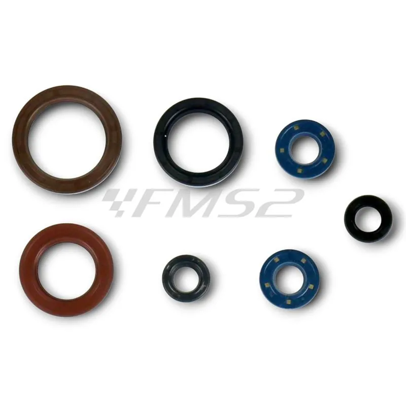 Serie paraoli motore Ktm / Husqvarna / Gas Gas 250 e 350 4 tempi dal 2016 in poi, ricambio GU84594T