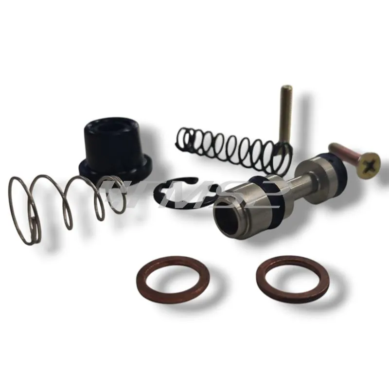 Kit revisione BearingWorx per revisionare la pompa freno anteriore Brembo con pistoncino diametro 11,0 mm montata su KTM 125, 200, 250, 300, 380, 400, 450, 520 e 525 cc 2T e 4T dal 2000 al 2004, ricambio XBMK023