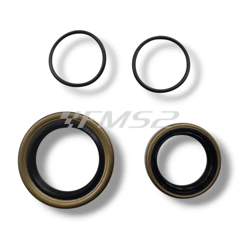 Kit revisione albero motore BWX Motocross Marketing completo di cuscinetti banco e paraolio tenuta specifico per Gas Gas, Husaberg, Husqvarna e Ktm 125, e 200 cc 2 tempi, ricambio XCBK60003