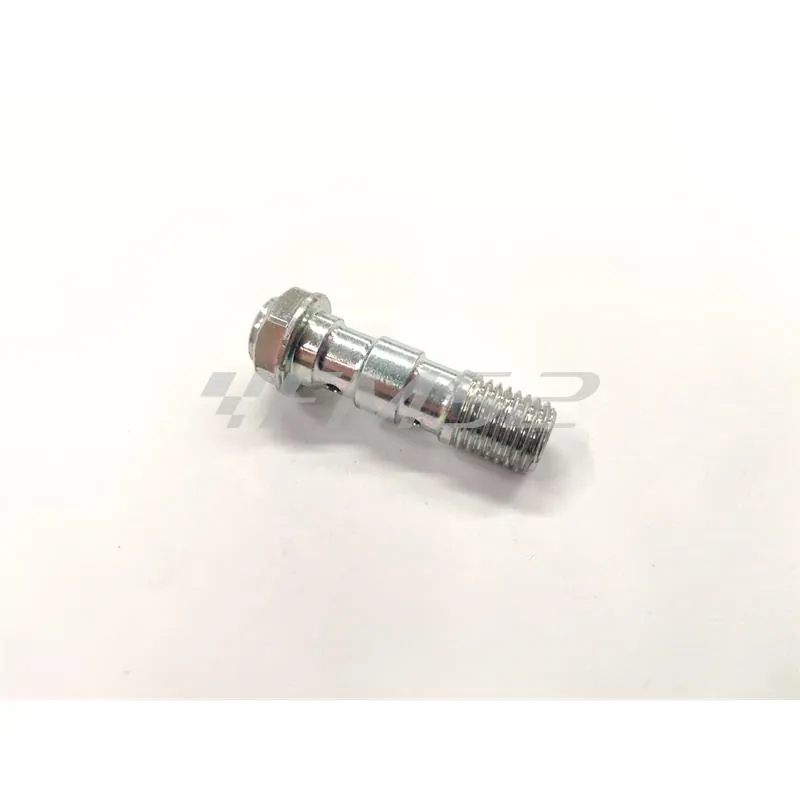 Vite fissaggio raccordi freno idraulico passo lungo per doppio raccordo con passo 10x1,25 e attacco vite spurgo in metallo lucido, ricambio 06GS2365