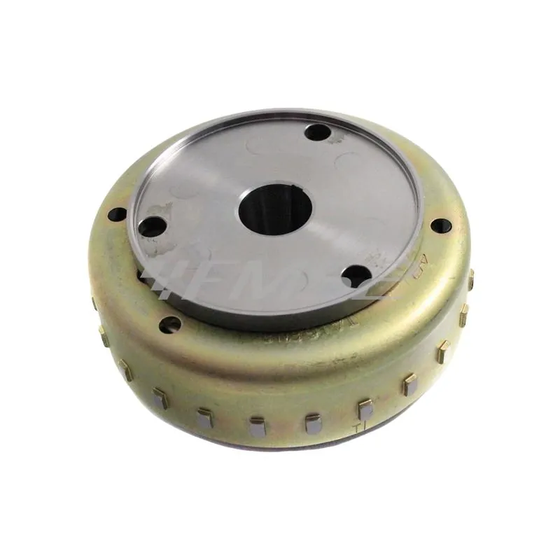 Volano magnete, ricambio 00128956