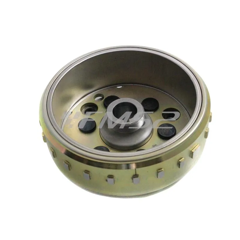 Volano magnete, ricambio 00128956