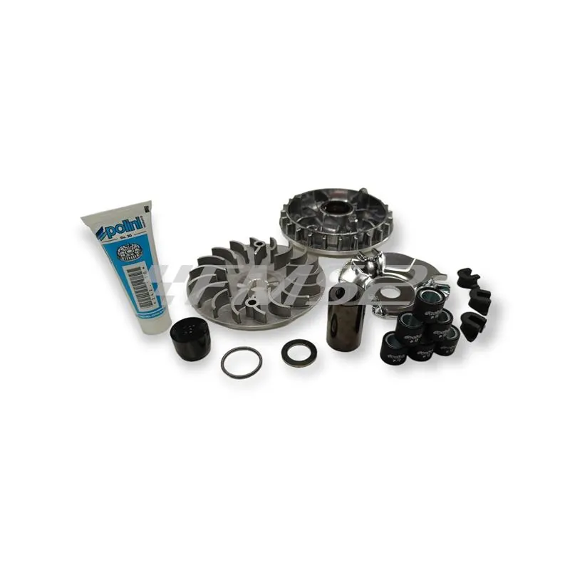 Variatore hi-speed piaggio vespa 125, ricambio 241718