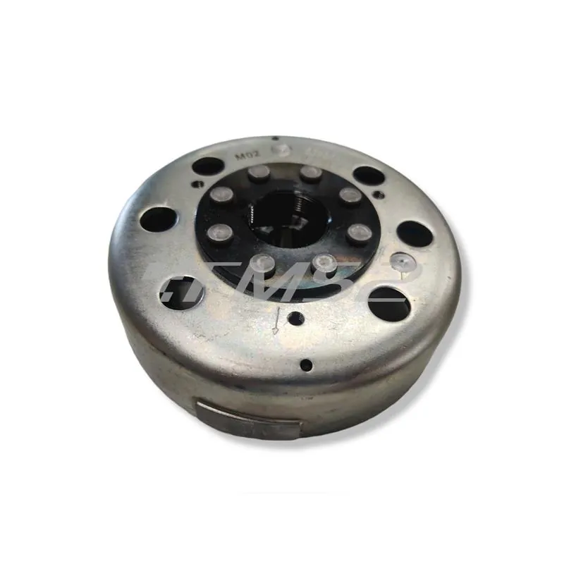 Volano compl. aprilia/piagg 50, ricambio 246360072