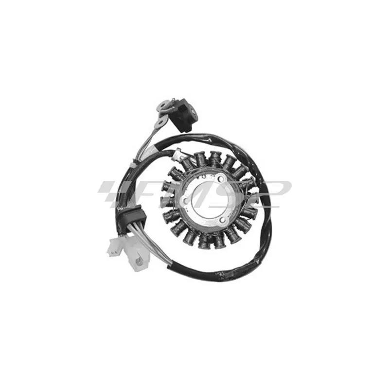 Statore Kymco Gran Dink 250 - people 250 (SGR, Denso, Leonelli, Hyflo, Yuasa), ricambio 163058