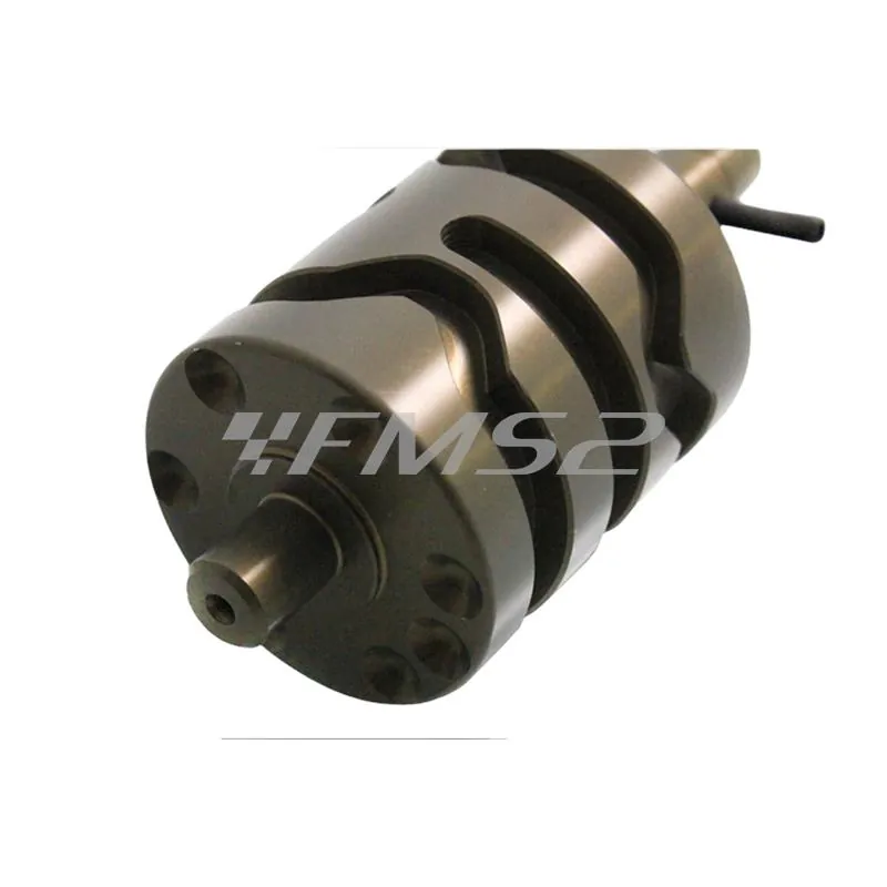 Desmodronico cambio Racing AM6, ricambio 9920020