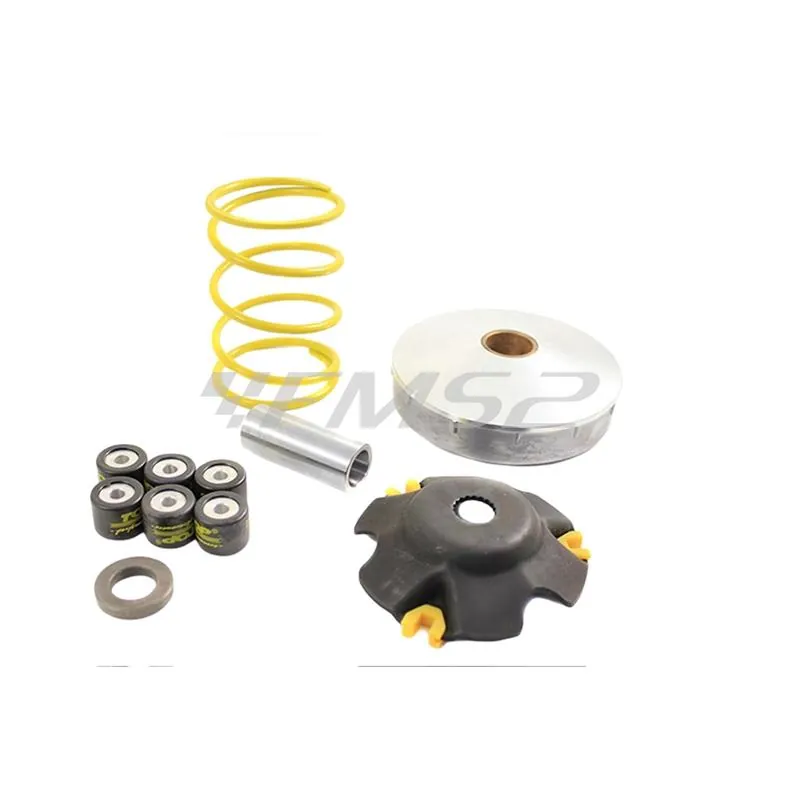 Variatore variotop tpr gp per scooter Piaggio 50 rulli 19 x 15,5 mm, ricambio 9927610