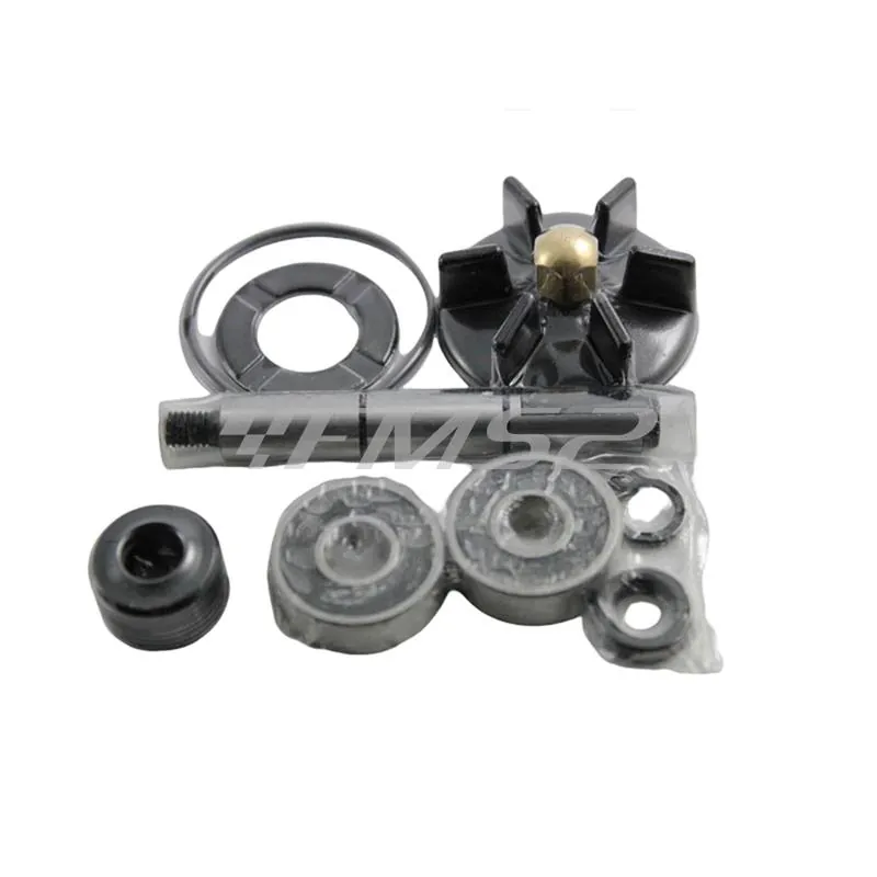 Kit revisione pompa acqua Piaggio Gilera, ricambio AA00796