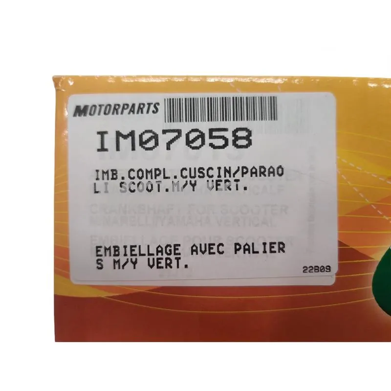 Albero motore DR tipo originale completo di cuscinetti alta velocità 6204tn9c4 e coppia paraolio di banco Corteco blu per Minarelli verticale Booster, ricambio IM07058
