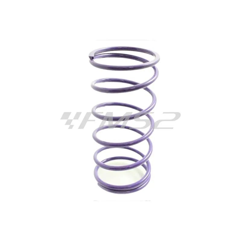 Molla contrasto variatore Suzuki (+22%) colore viola, ricambio ML06220