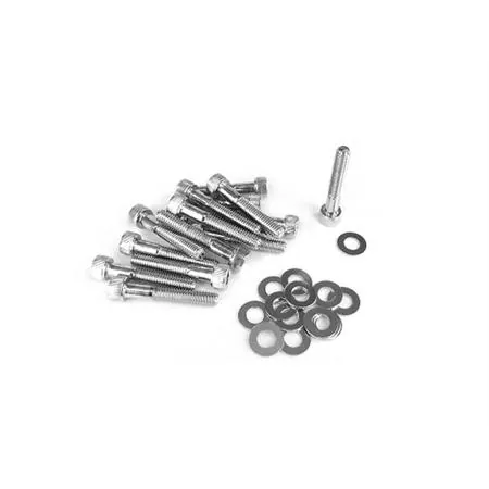 Kit viti TNT in metallo per carter messa in moto Piaggio Gilera Typhoon-NRG e tutti gli altri veicoli della gamma Piaggio Gilera di colore argento cromato, ricambio 171020