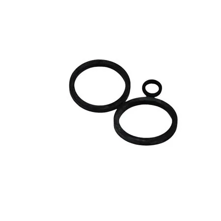 Anelli tenuta pinza idraulica (Malaguti), ricambio 11922600