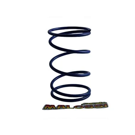 Molla contrasto variatore azzurra Malossi, ricambio 298325A0