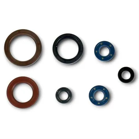 Serie paraoli motore Ktm / Husqvarna / Gas Gas 250 e 350 4 tempi dal 2016 in poi, ricambio GU84594T