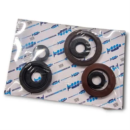 Serie paraoli motore Ktm / Husqvarna / Gas Gas 250 e 350 4 tempi dal 2016 in poi, ricambio GU84594T