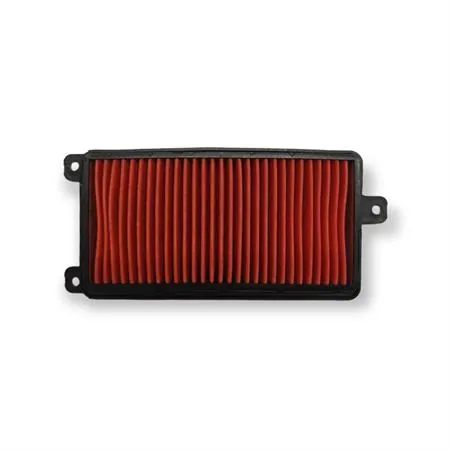 Filtro aria, ricambio 00101074