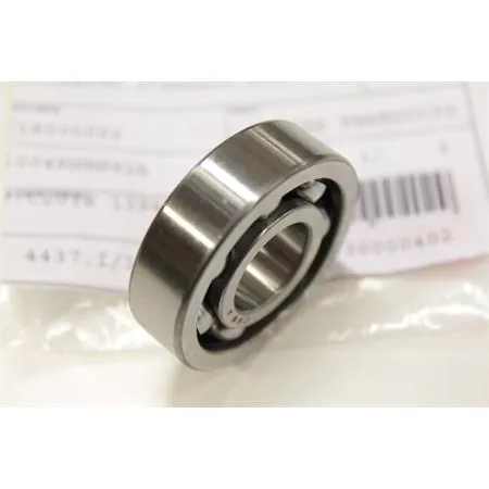 Cuscinetto 17x42x12 a/a 6203, ricambio 00109240