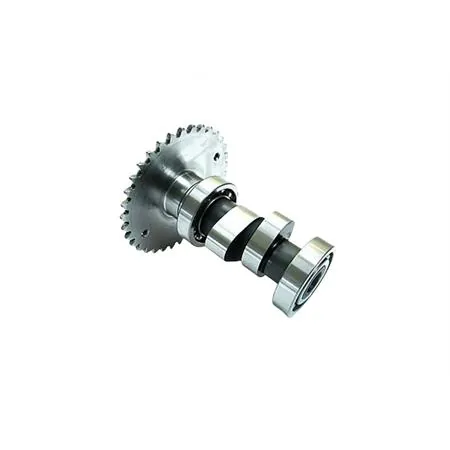 Albero a camme, ricambio 00122192