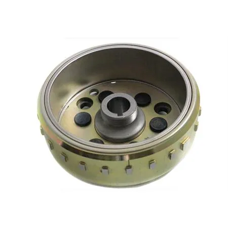 Volano magnete, ricambio 00128956