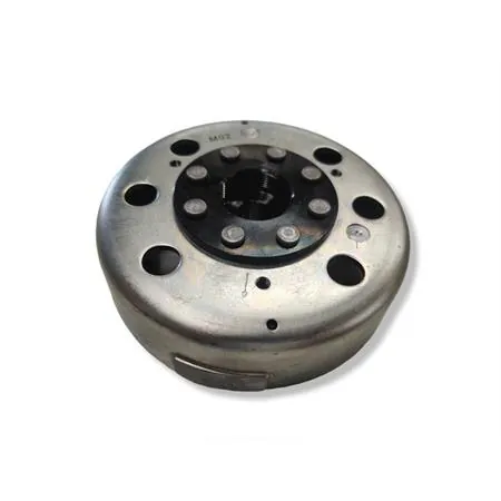 Volano compl. aprilia/piagg 50, ricambio 246360072