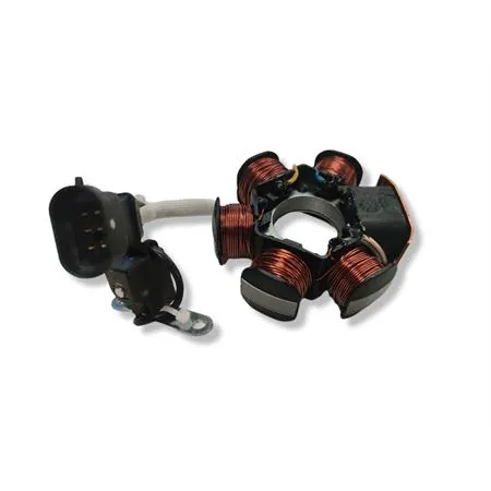 Volano compl. aprilia/piagg 50, ricambio 246360072