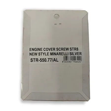 Kit viti carter motore str8 Minarelli argento, ricambio STR8STR55077AL