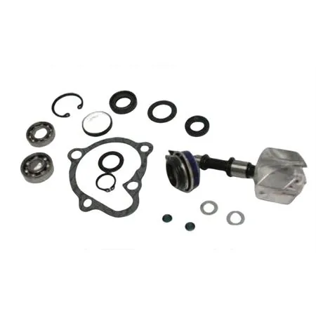 Kit revisione pompa acqua completa maxi scooter  Kymco 250-300 x-citing, ricambio 282015