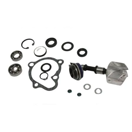 Kit revisione pompa acqua completo scooter Kymco Dink 50 lc, ricambio 282021