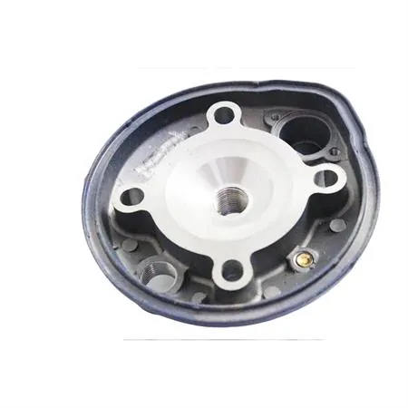 Testa Minarelli orizzontale liquido diametro 47, ricambio 9911230