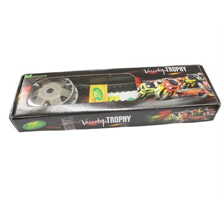 Variatore Variotop Trophy tpr gp per scooter con motore Minarelli verticale ed orizzontale aria e liquido a braccio lungo, ricambio 9931670