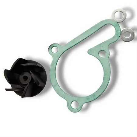 Kit revisione pompa h2o derbi/piaggio motore  d50b0, ricambio AA00825