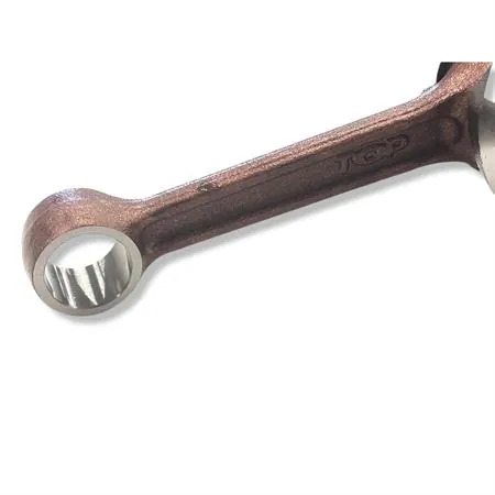 Albero motore DR tipo originale completo di cuscinetti alta velocità 6204tn9c4 e coppia paraolio di banco Corteco blu per Minarelli verticale Booster, ricambio IM07058