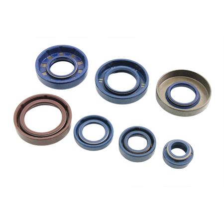 Kit serie paraolio motore completa per motori minarelli serie am345 e am6, ricambio K070060