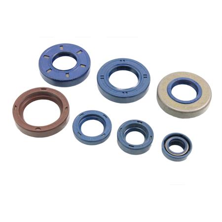 Kit serie paraolio motore completa per motori minarelli serie am345 e am6, ricambio K070060